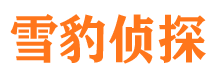 盐亭市侦探公司